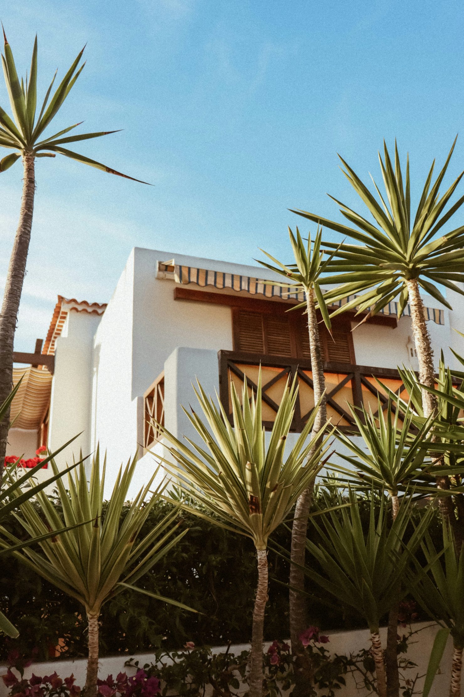 nicole-arango-lang-19ffINxN3c0-unsplash