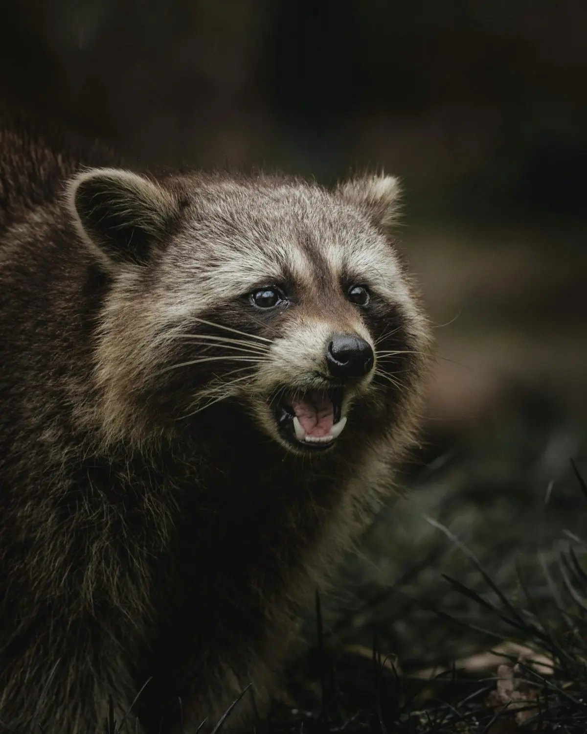 Sûr-mesures