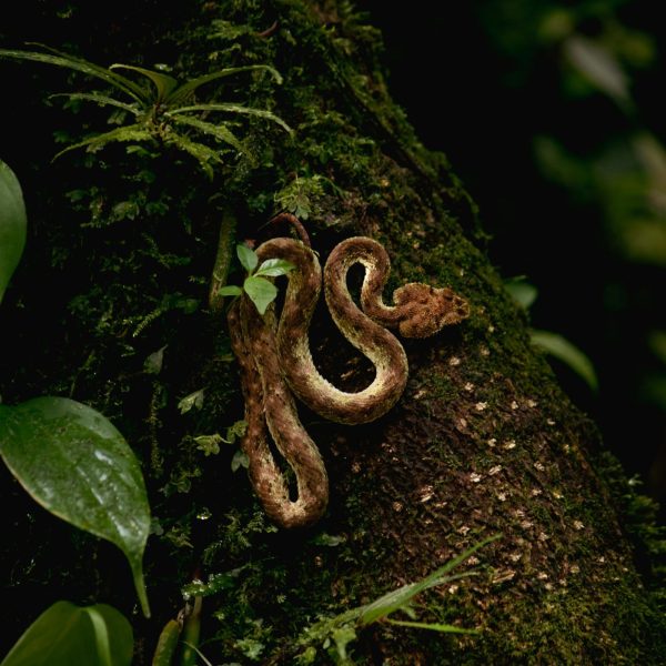 Discovery Islands